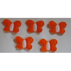 Motýlci oranžoví Motýlci oranžoví